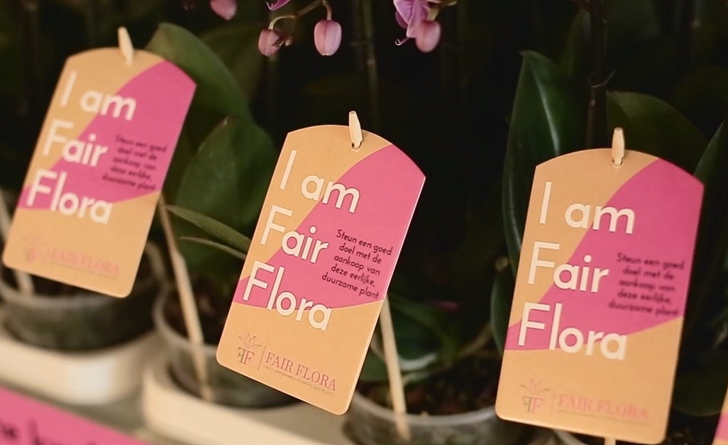 Ook eerste bloemen onder Fair Flora-label