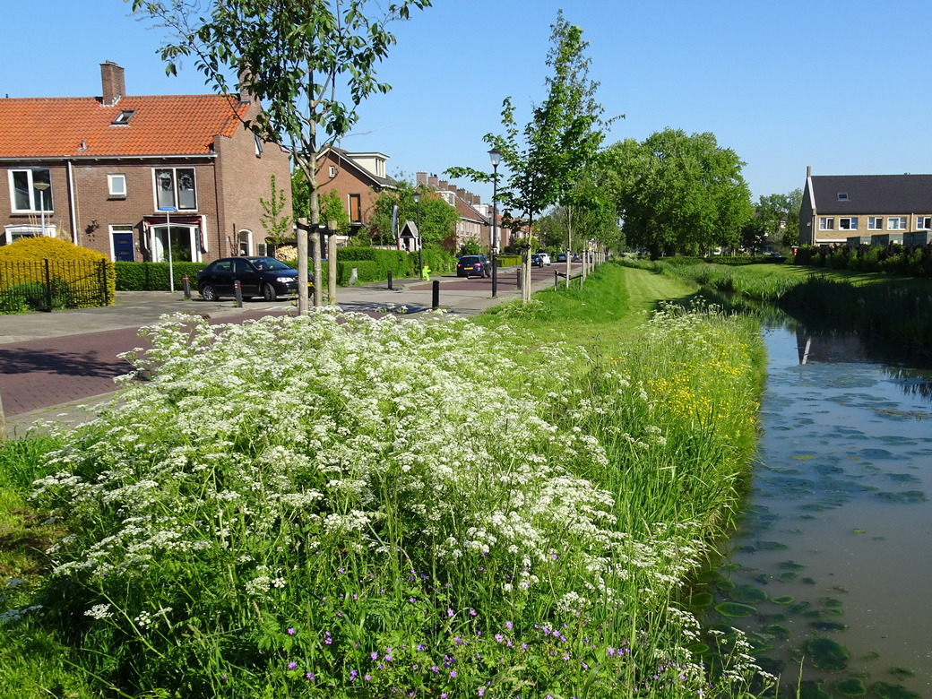 Wie is de beste bermbeheerder van Nederland?