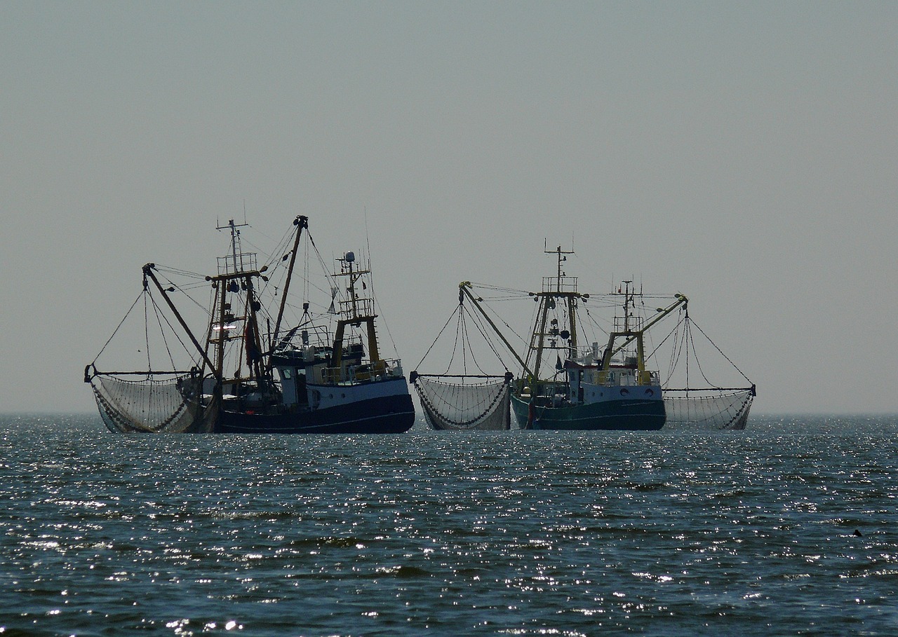 Bescherming Nederlandse natuurgebieden in zee ondermaats