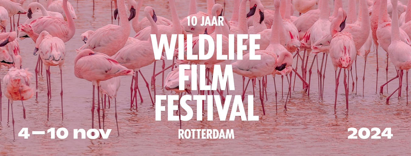 Wildlife Film Festival Rotterdam 2024 opent de 10e editie met een ode aan de nieuwsgierige natuurliefhebber
