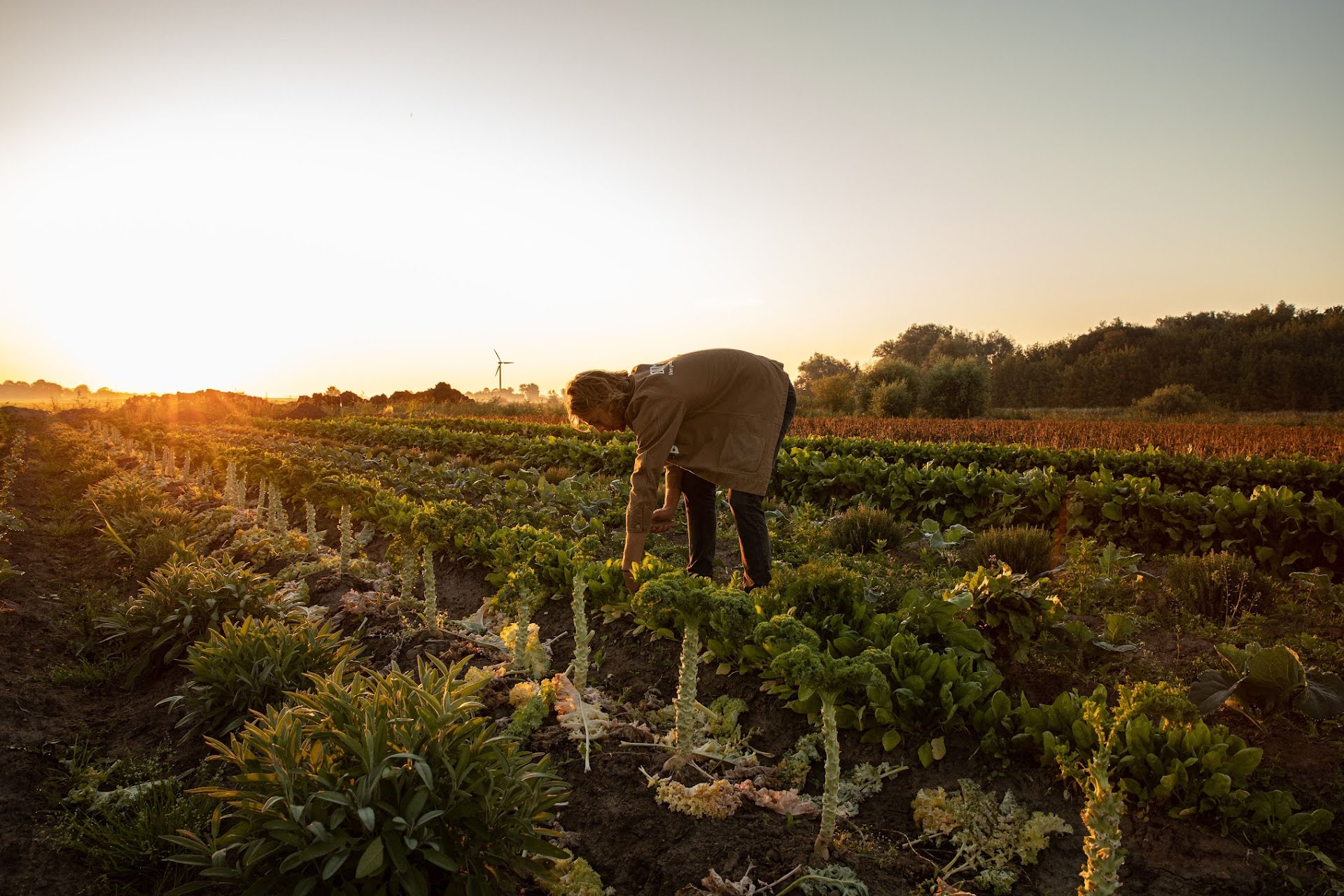 MVO Nederland lanceert website met natuurlijke boeren voor inkopers eten en drinken