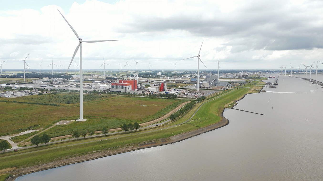 Tien jaar broedeiland Pier van Oterdum