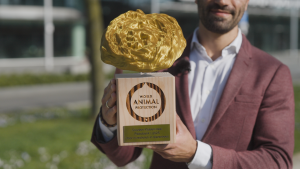 Rabobank krijgt ‘Gouden Koeienvlaai’ voor uitkleden dierenwelzijnsbeleid