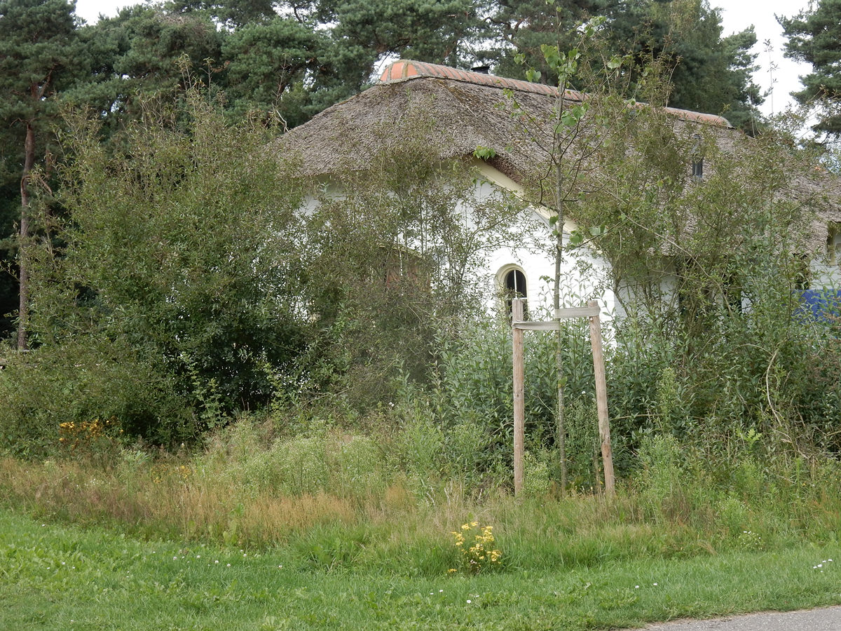 Lancering Erfparadijzen: Kansen voor natuurherstel in het buitengebied