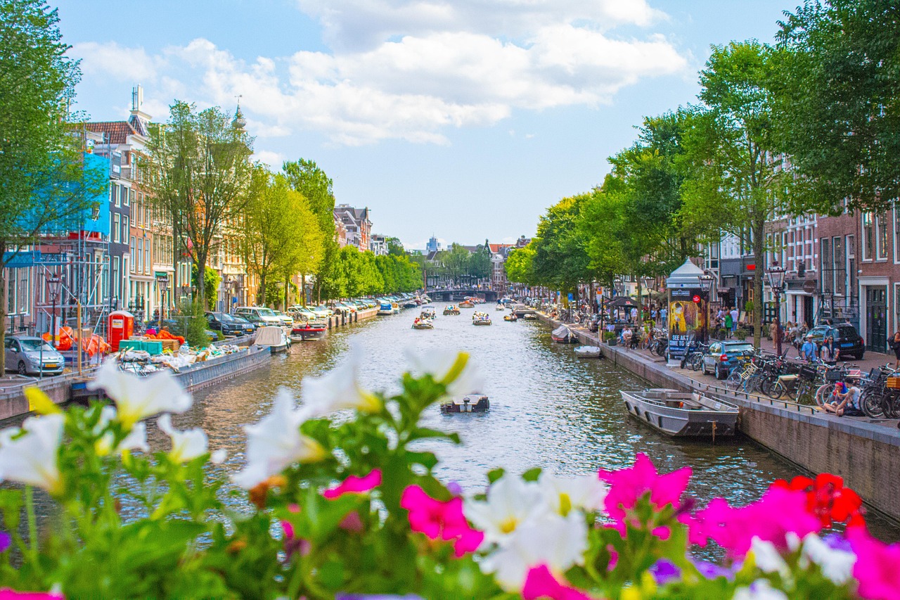 Amsterdams plan voor meer biodiversiteit