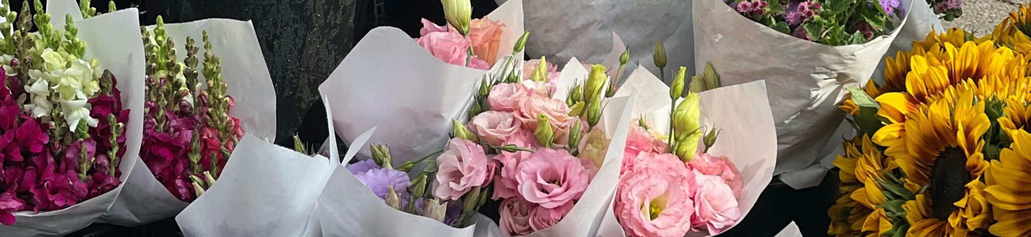 Giftige bloemen en falende regels: tijd voor systeemverandering