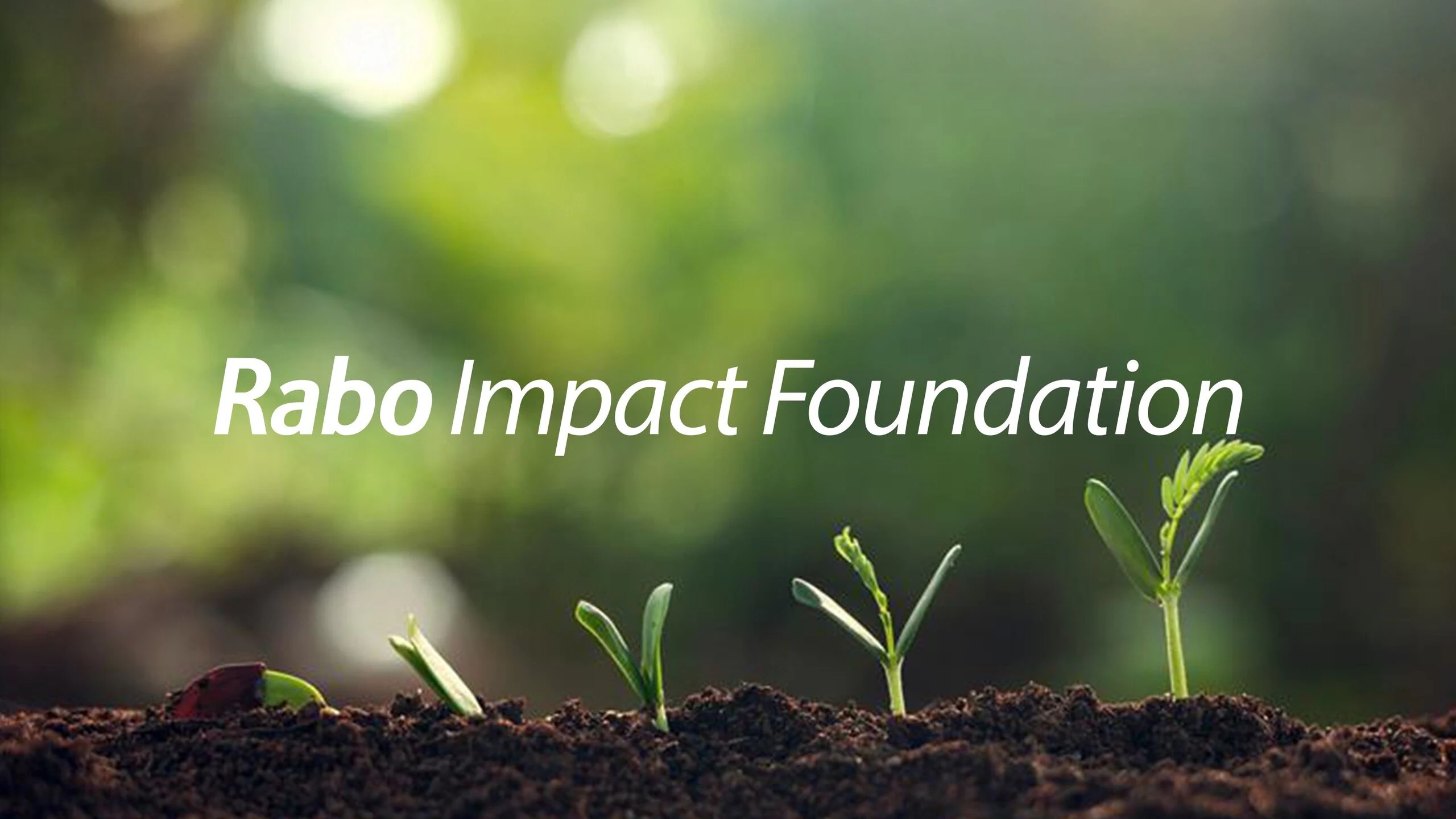 Rabobank richt Rabo Impact Foundation op voor maatschappelijke transities