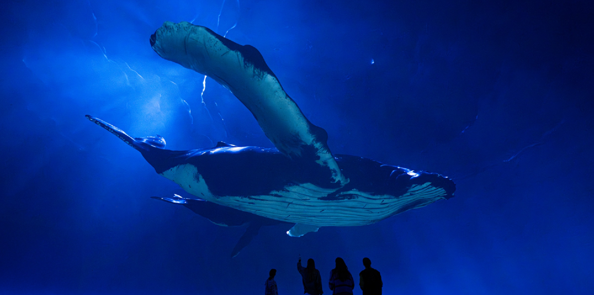 "Our Story" met David Attenborough beleeft Europese première in ARTIS