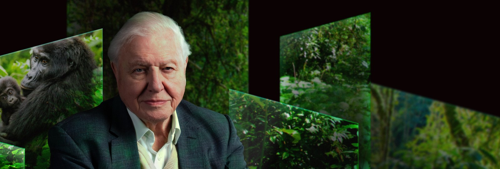 David Attenborough viert zijn 100e verjaardag met première van Our Story in ARTIS