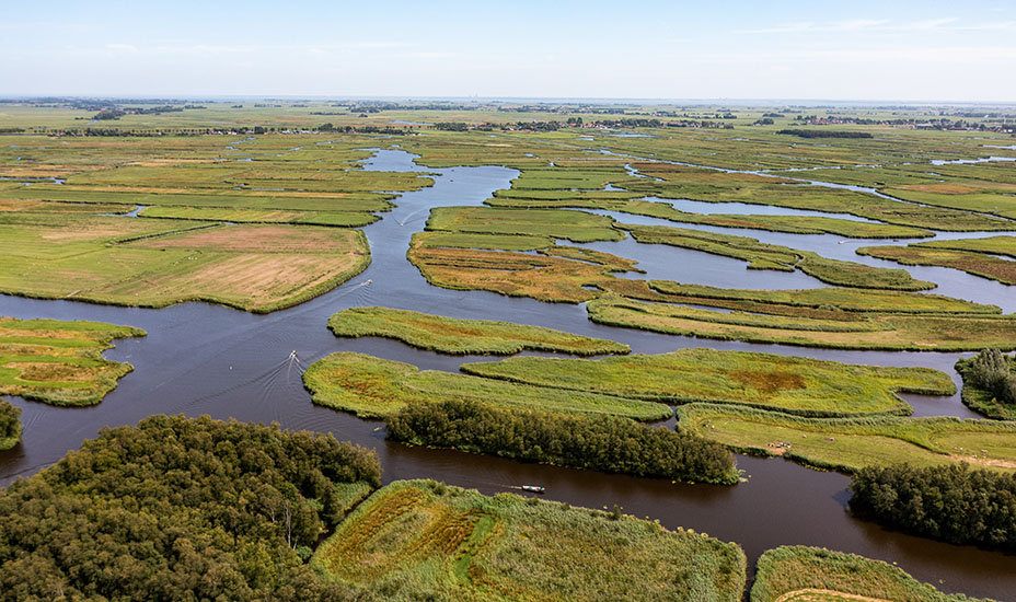 Provincie Noord-Holland werkt stevig door aan afronding natuurnetwerk