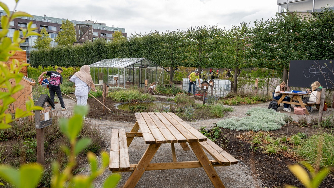 25 scholen starten dit jaar met een groen en klimaatbestendig schoolplein