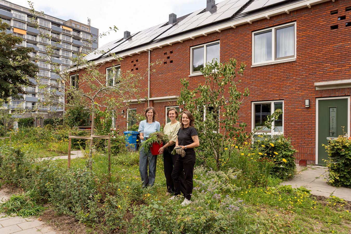 Versteende plekken bieden onverwachte ruimte voor meer stadsnatuur